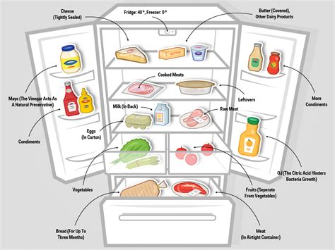 Refrigerator Food Storage Chart