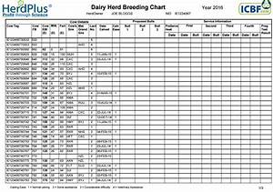 Dairy Cow Chart All About Cow Photos