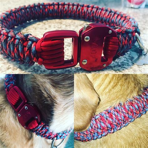 Paracord dog collar , what do you think it’s worth? : paracord