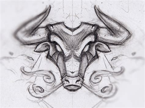 Bull Illustration Bull Art Illustration Bull