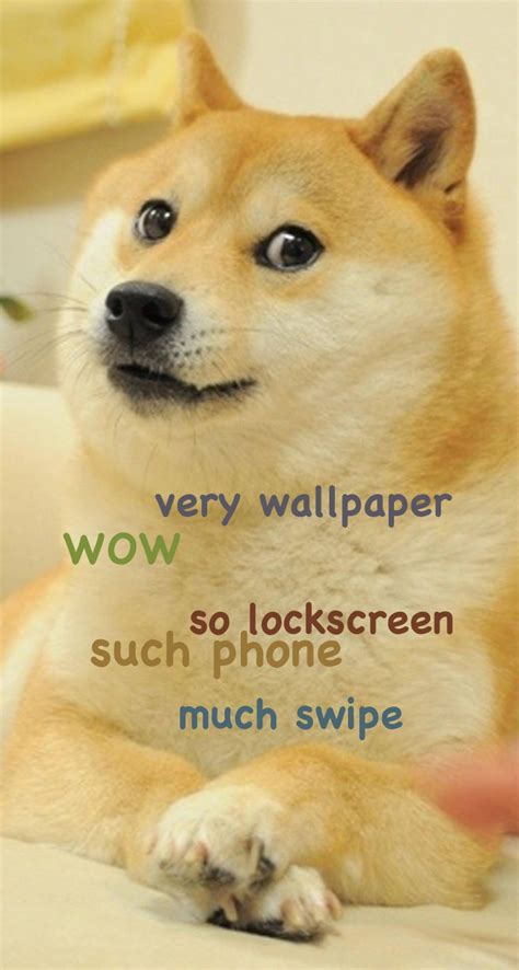 Doge Meme Wallpaper Wallpapersafari