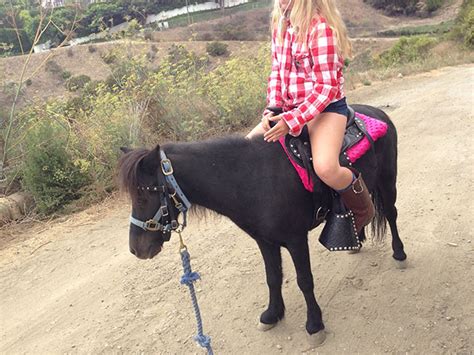 Pony Rides Los Angeles Farm Friendz