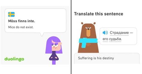 26 Duolingo Memes Thatll Strike Fear In Your Heart Duolingo Funny