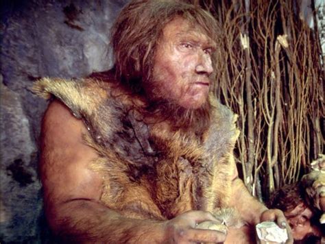 Neanderthal Human Mixing Had Gene Benefits Drawbacks