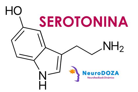 ¿cómo Aumentar Los Niveles De Serotonina Neurodoza