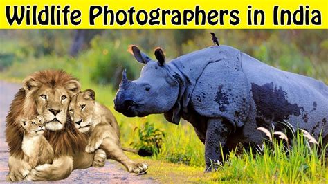Top 10 Wildlife Photographers In India Youtube