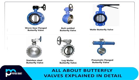 All About Butterfly Valves Explained In Detail