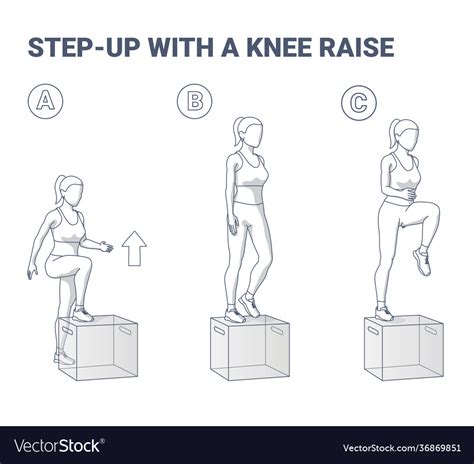 Step Up With A Knee Raise Exercise For Women Home Vector Image