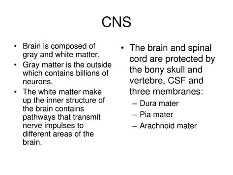 Ppt Neurological System Chapter 38 Powerpoint Presentation Free Download Id 6183192