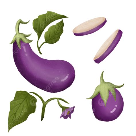 Hand Drawn Egg Plant Vegetables Eggplant Veggies Illustration Png