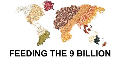 Feeding The 9 Billion By 2050