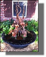 Copper heron fountain in sugar kettle | Unique gardens, Garden art ...