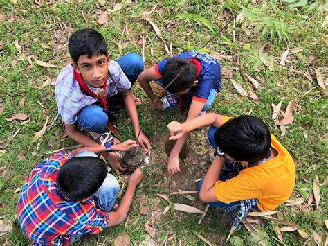 Plant Treesplant Hopes World Scouting