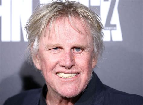 Gary Busey Face Surgery Hot Sex Picture