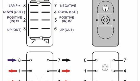 Carling 8 Pin Rocker Switch Wiring Diagram - Bestn