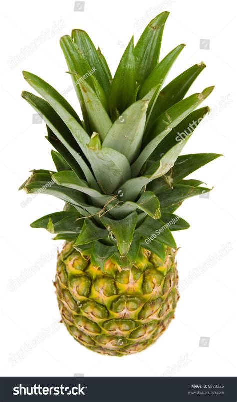 Pineapple Top View Isolated On White Stock Photo 6879325 Shutterstock