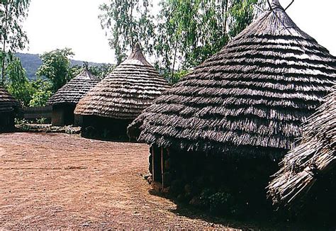 Traditional Village Houses Photo Senegal Africa