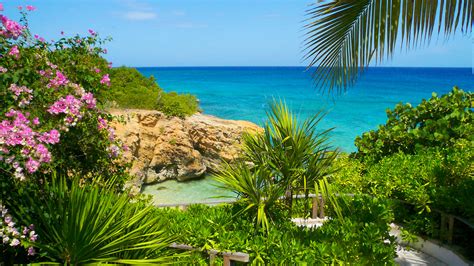 Anguilla Estate For Sale With Private Beach And Infinity Pool Robb Report