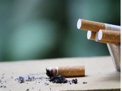 canada to become 1st country to put health warnings on individual cigarettes theprint