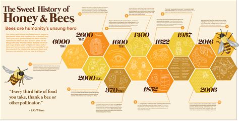 The Sweet History Of Honey And Bees On Behance