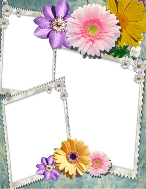 Picture Frame Collection 14 Free Stock Photo Public Domain Pictures