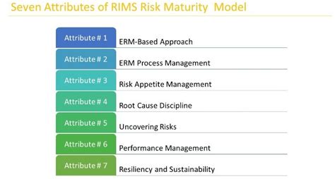 Part 2 Decoding The Rims Risk Management Maturity Model