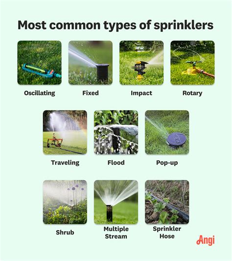 Types Of Sprinklers How To Choose For Your Lawn