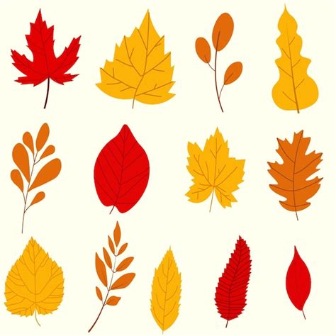 Premium Vector Fall Leaf Set Illustration