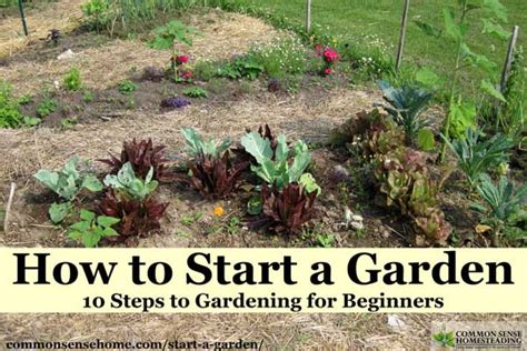 Learn how to start a garden from scratch with these tips on soil, weeds, color, design, and more. How to Start a Garden - 10 Steps to Gardening for Beginners