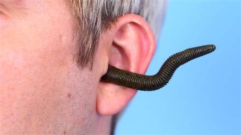 Worm Crawls In Ear Youtube