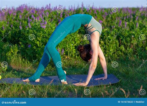 Beautiful Young Woman Doing Stretching Exercise On Green Grass Stock