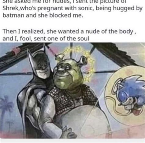 Shrek Who S Pregnant With Sonic Being Hugged By Batman And She Blocked Me Then I Realized She