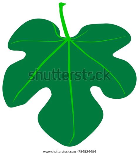 Fig Leaf Type Worn By Adam Stock Vector Royalty Free 784824454