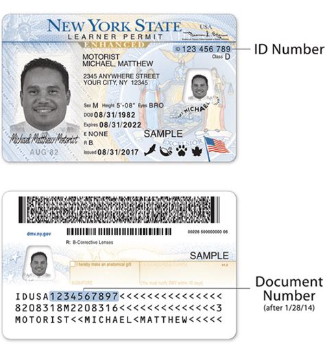 What Is An Enhanced Drivers License