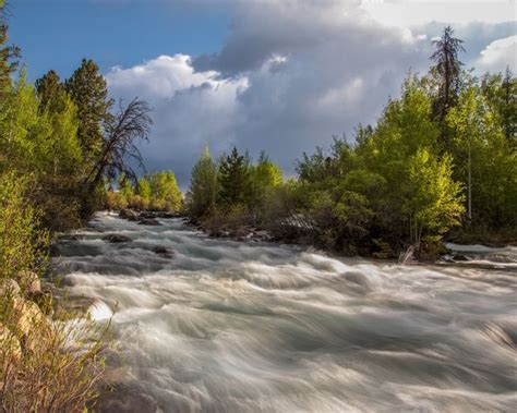 High Tide On Pine Creek Pinedale Online News Wyoming