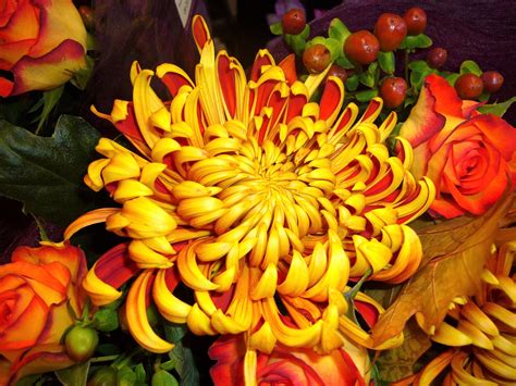 Autumn Bouquet Hd Wallpaper Background Image 2816x2112 Id890949