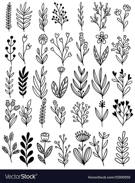 Different Types Of Flowers And Plants In Black And White
