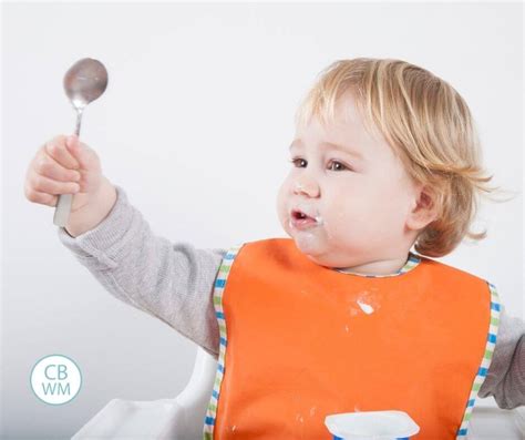 When Does A Toddler Master Spoon Skills Babywise Mom