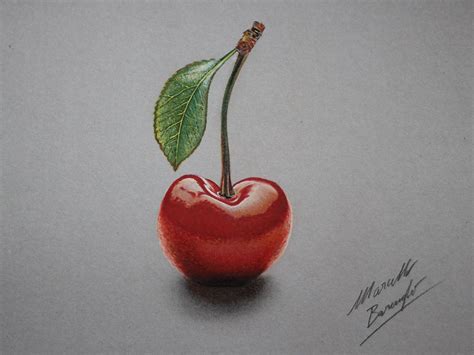 Cherry Realistic Drawings Of Objects Pinterest Cherry Drawing
