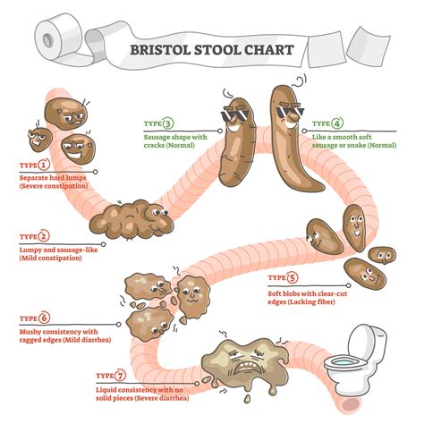 💊 What Is The Bristol Stool Chart W Infographic