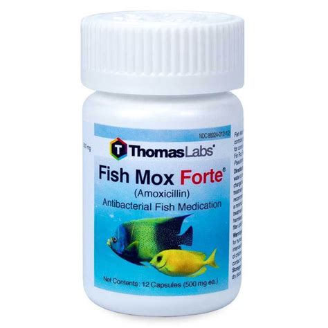 Fish Mox Forte Amoxicillin 500 Mg Free Shipping Fishaid