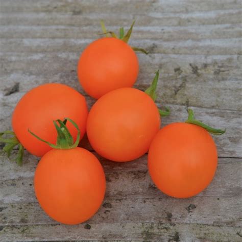 Tomate Orange Berry Ab