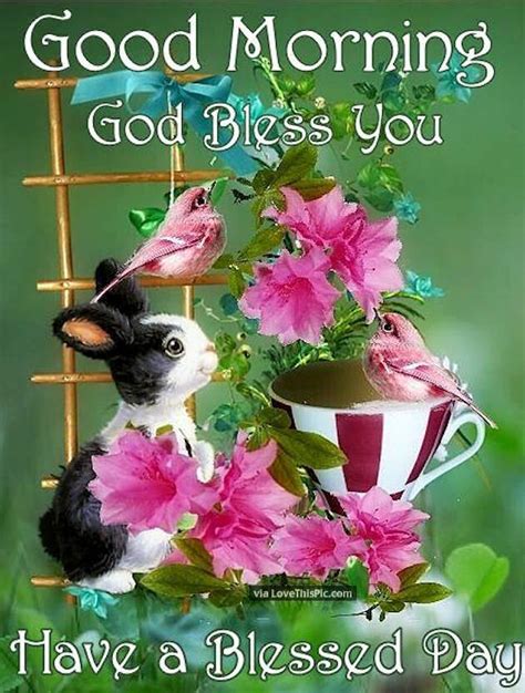 Good Morning God Bless You Have A Blessed Day Morning Good Morning