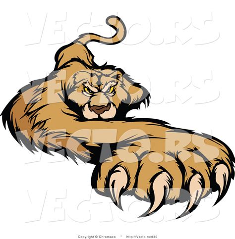 Cartoon Cougar Clipart Free Download On Clipartmag