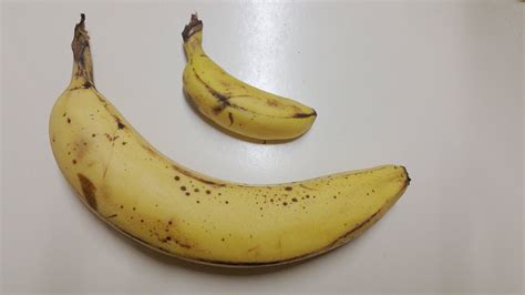 Banana For Scale Pics