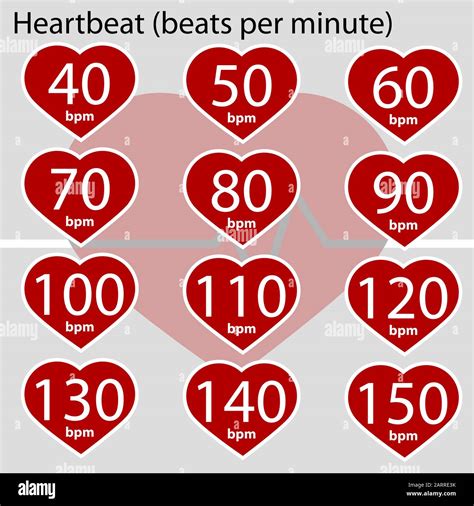 Infographic Showing A Heart And Different Values For Heart Beats Per