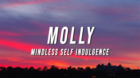 Mindless Self Indulgence Molly Tiktok Remix Lyrics Youtube Music