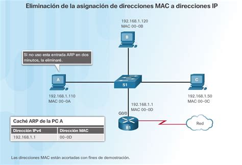 Arp Ccna V60