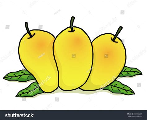 Three Ripe Mangoes Some Green Leaves Vector De Stock Libre De