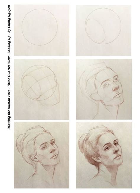 Drawing The Human Face Three Quarter View Looking Up By Cuong
